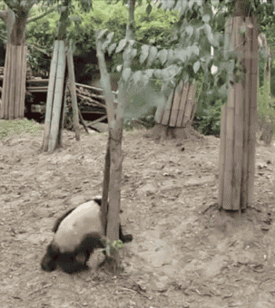 javascript - 怎么學(xué)會遞歸?