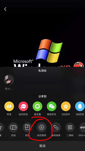 抖音XP系統動態壁紙如何設置？抖音XP系統動態壁紙設置方法攻略介紹!