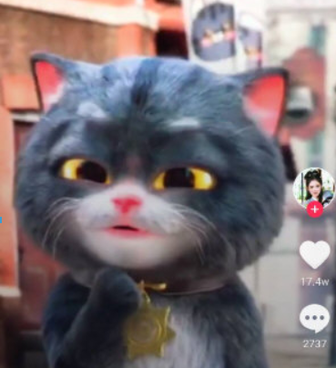 抖音斑布貓動態壁紙如何設置？ 斑布貓動態壁紙設置教程解答！