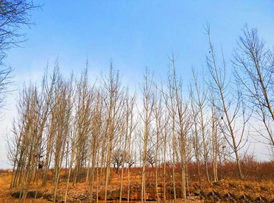 美圖秀秀APP中給圖片調色的具體流程介紹