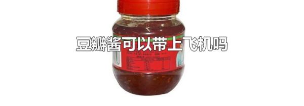 豆瓣醬可以帶上飛機(jī)嗎