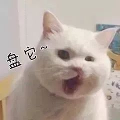 抖音我想盤他表情包有哪些 抖音我想盤他表情包介紹