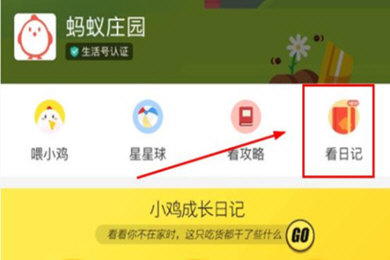 支付寶螞蟻莊園小雞信息如何修改？支付寶螞蟻莊園小雞信息修改攻略介紹！