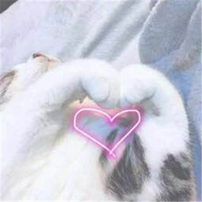 抖音貓爪愛心表情包大全介紹 抖音表白貓爪愛心賣萌表情包分享