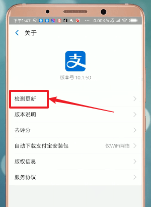 支付寶APP怎么找到更新入口 具體操作步驟