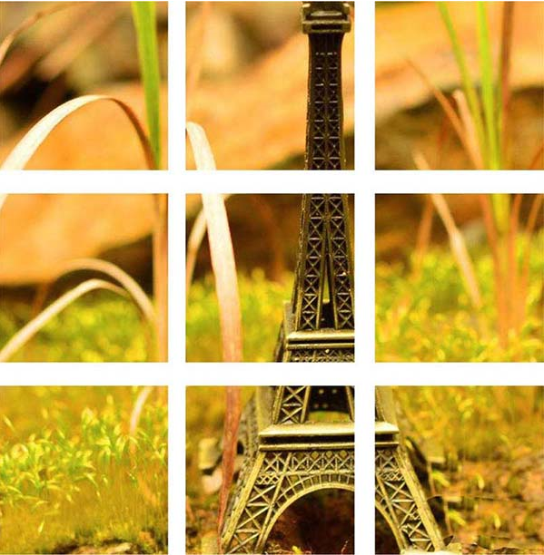 使用CDR制作出朋友圈九宮格效果圖具體操作流程