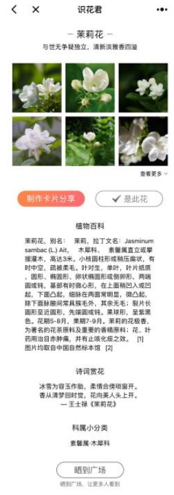 微信app小程序中的識花君怎么用?微信app小程序中的識花君用法介紹!