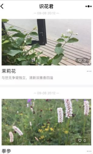 微信app小程序中的識花君怎么用?微信app小程序中的識花君用法介紹!