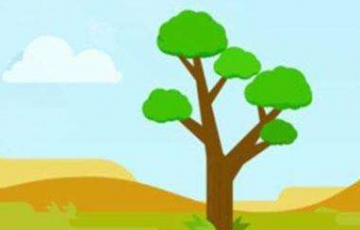 支付寶螞蟻森林證書在哪里 查看螞蟻森林證書流程介紹