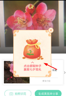 支付寶AR識花怎么用 支付寶AR識花玩法教程