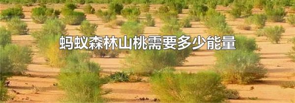 螞蟻森林山桃需要多少能量