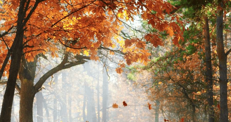 2018抖音最火的流行歌曲有哪些?2018抖音最火的流行歌曲介紹!