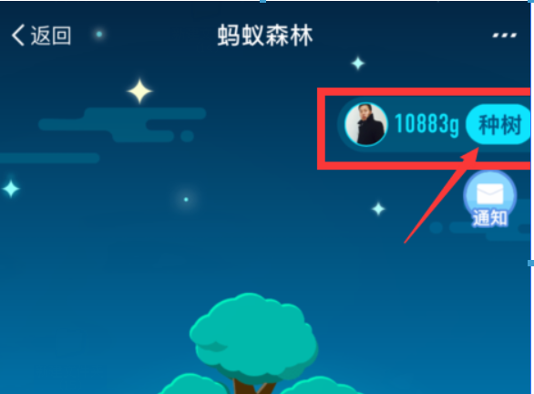 支付寶螞蟻森林環保證書如何領取?螞蟻森林環保證書領取攻略介紹!
