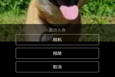 豆瓣APP如何更換頭像 豆瓣個性頭像分享