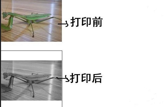 win10打印圖片打印不全解決方法