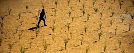 支付寶螞蟻森林保護地介紹 螞蟻森林保護地有哪些