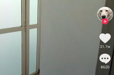 抖音不小心點了不感興趣如何取消   抖音按了不感興趣恢復方法