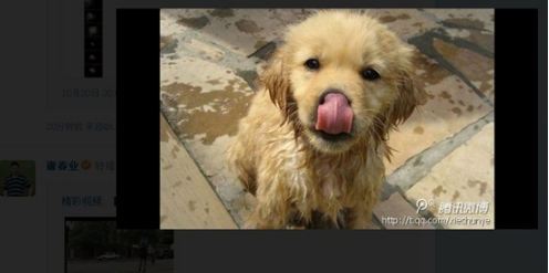 騰訊微博怎么轉播和評論