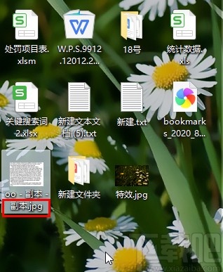 win10系統顯示文件后綴名的方法