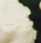 qq名片照片墻八組圖怎么弄 手機qq名片八組圖制作方法