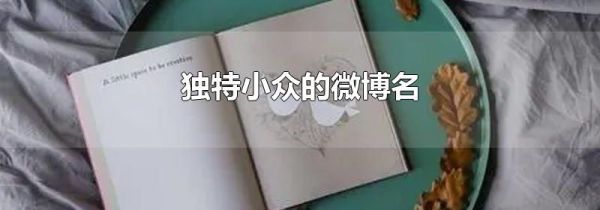 獨特小眾的微博名