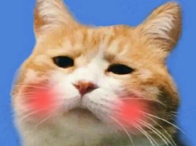 微信激萌頭像小助手如何授權 微信激萌頭像小助手授權教程