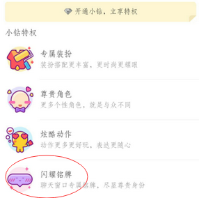 厘米秀小鉆銘牌什么樣子 QQ厘米秀小鉆的專屬銘牌怎么使用