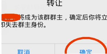 手機QQ群怎么轉讓給別人 手機QQ群轉讓群主方法