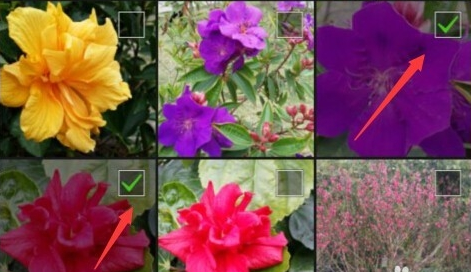 空間說(shuō)說(shuō)怎么同步到微信朋友圈2016