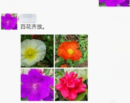 空間說(shuō)說(shuō)怎么同步到微信朋友圈2016