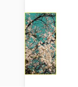 vue實現(xiàn)點擊翻轉(zhuǎn)效果