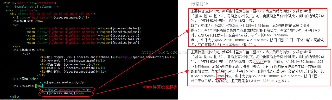 解決Vue大括號字符換行踩的坑