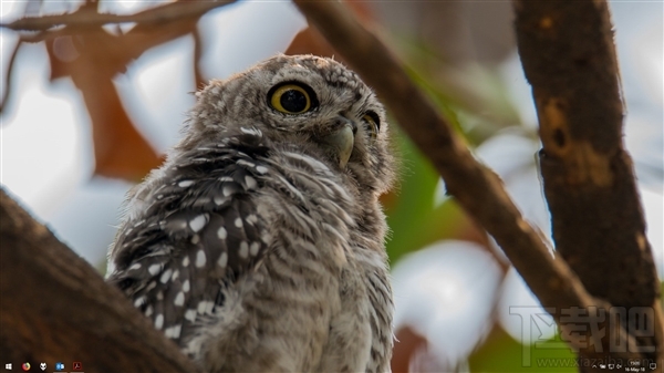 Win10更新后任務(wù)欄消失，Win10狀態(tài)欄不見(jiàn)了怎么辦