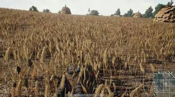 win 10絕地求生跳傘卡頓怎么辦?是配置問題嗎?