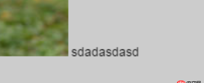 頁面用CSS3的scale屬性進行了縮放，圖片模糊解決不了，那么字體能否讓它們不模糊呢？