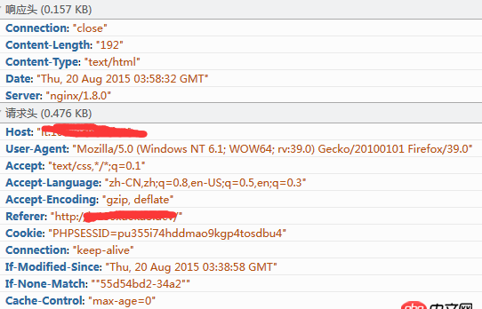 nginx第一次訪問css文件時報500錯誤
