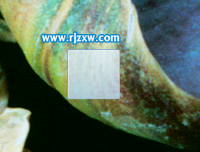 介紹win7的透明文件夾創(chuàng)建方法