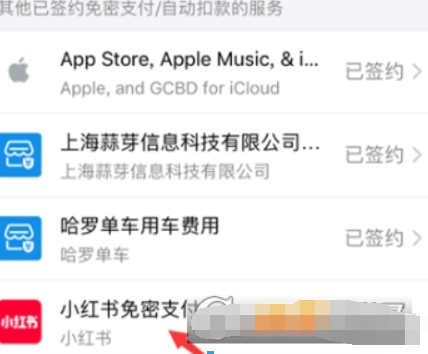 小紅書自動(dòng)續(xù)費(fèi)如何取消？ 小紅書取消自動(dòng)續(xù)費(fèi)方法攻略介紹！