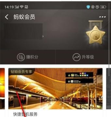 支付寶行走積分賽地點(diǎn)介紹 支付寶行走積分賽在哪里看