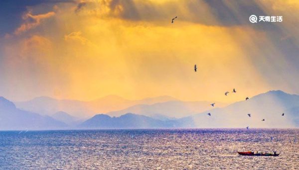 高雅有內涵的微信名字 女微信名字優雅