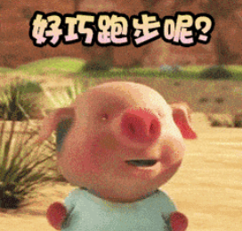 抖音跑豬表情包大全(第二彈)    奔跑豬GIF表情包分享