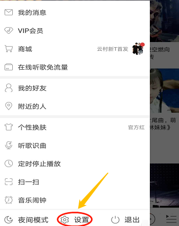 網(wǎng)易云音樂APP設(shè)置同時顯示中英文歌詞操作步驟