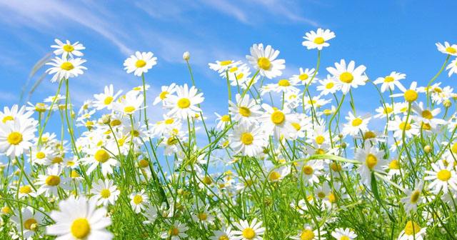 淘寶健康值如何查看? 淘寶健康值開啟攻略詳情介紹!