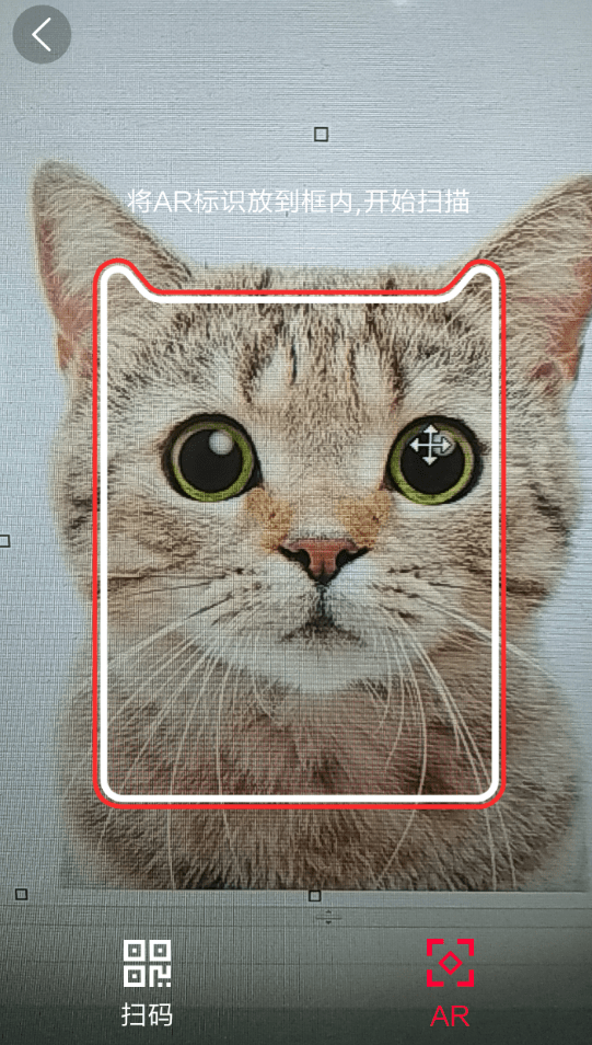 手機天貓APP參加AR掃貓抽紅包活動具體操作流程