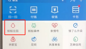 手機支付寶APP飼養寵物的具體操作流程