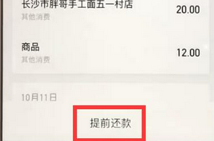 支付寶APP提前結(jié)清花唄的具體操作步驟