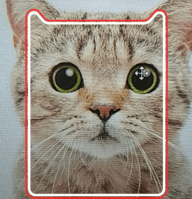 天貓雙11掃貓抽紅包玩法是什么? 天貓AR掃貓抽紅包活動參加攻略介紹!