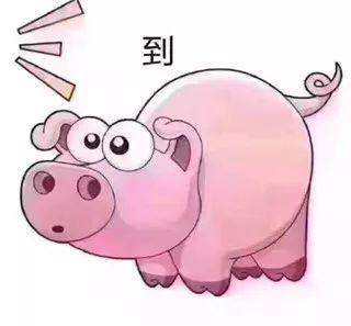 抖音粉豬吃屎表情分享   粉豬吃屎表情什么樣