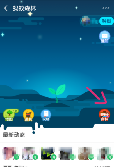 支付寶螞蟻森林如何發(fā)起合種?螞蟻森林操作教程