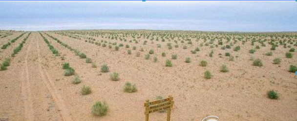 螞蟻森林全民義務植樹盡責證書如何獲取 植樹盡責證書獲取攻略介紹!